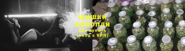 трава Няндома