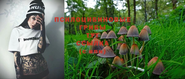 твердый Алзамай