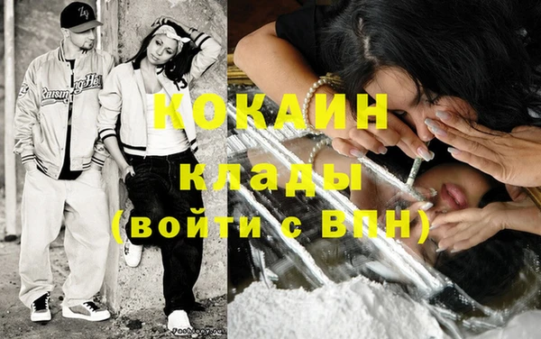 трава Няндома