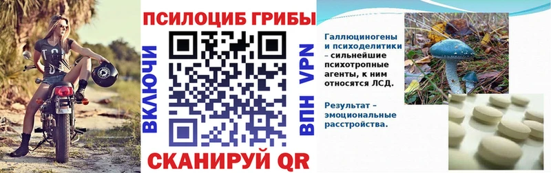 купить  цена  Азов  Галлюциногенные грибы MAGIC MUSHROOMS 